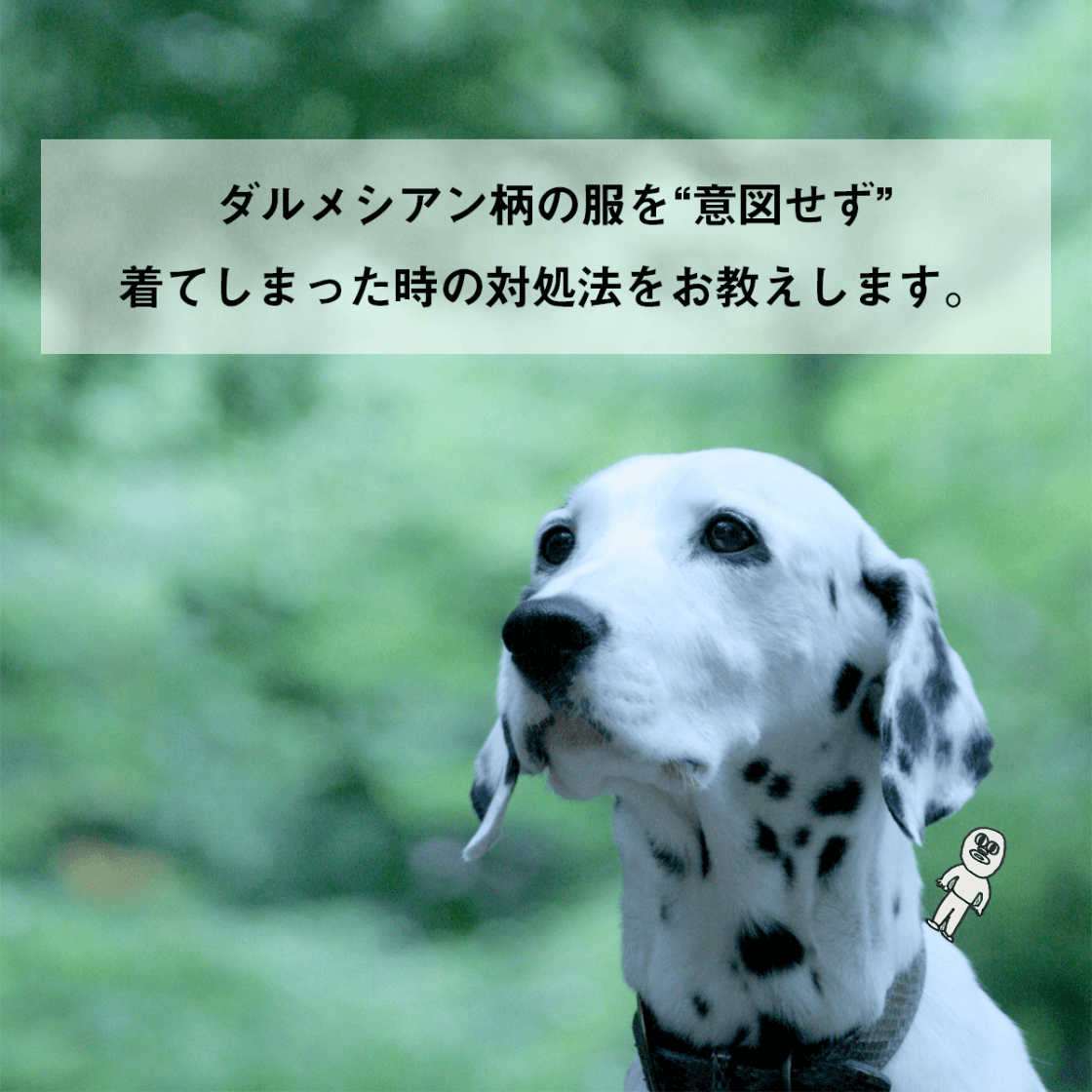 ダルメシアン柄の服を着てしまった時の対処法 Cafetabi カフェタビ オンラインショップ Cafeからtabiまで日常を上質に